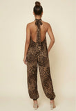Wild Instinct Leopard Halter Jumpsuit